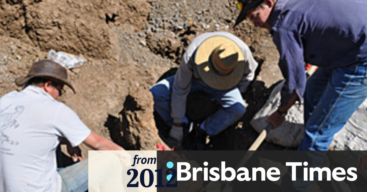 Fossils discovered in Queensland